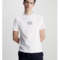 Ανδρικό T-Shirt Μπεζ Calvin Klein